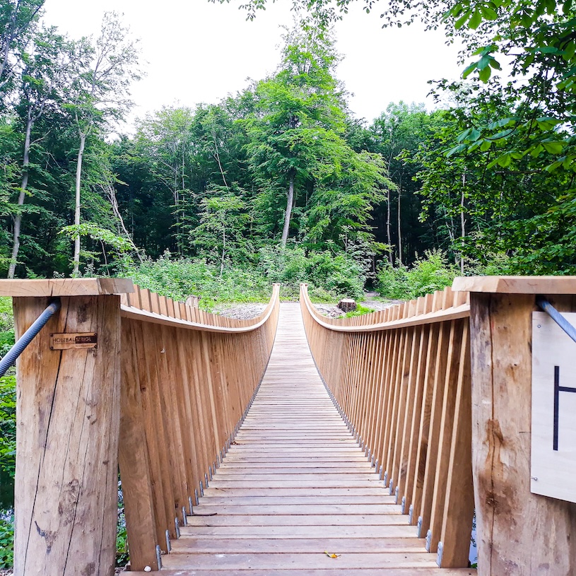 Hängebrücke erneuert von Holzbau Stigl Foto von Sabrina Gassner